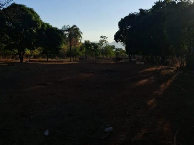 Terreno comercial para Locação em Ribeirão Preto/SP Conjunto Habitacional Jardim das Palmeiras