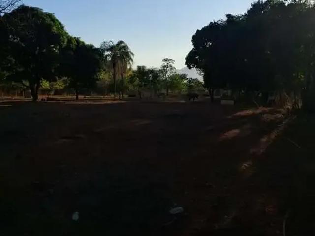 Terreno comercial para Locação em Ribeirão Preto/SP Conjunto Habitacional Jardim das Palmeiras