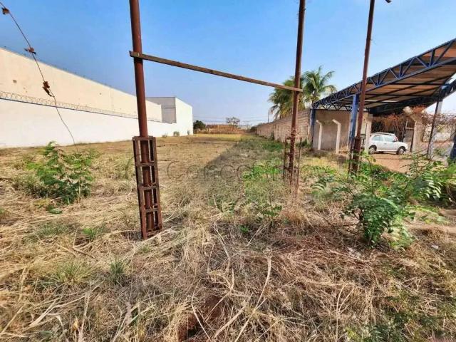 Terreno comercial para Locação em Ribeirão Preto/SP Independência