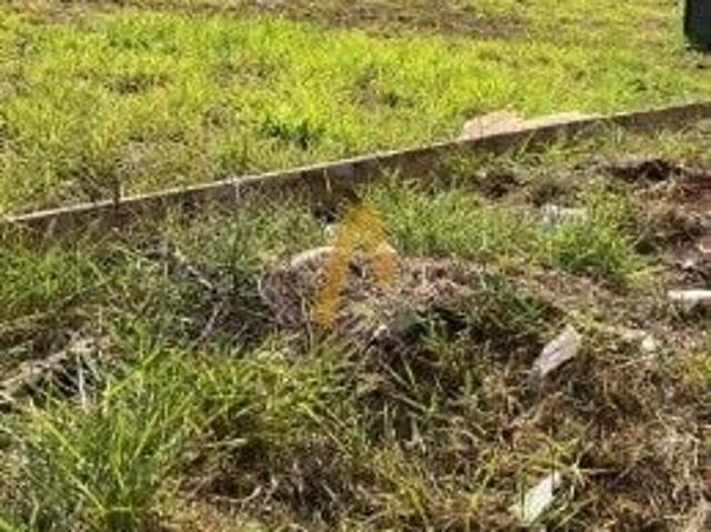 Terreno comercial para Locação em Ribeirão Preto/SP Jardim Botânico