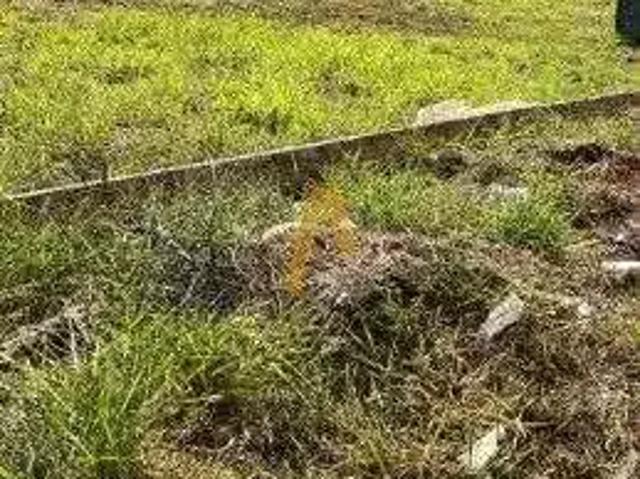 Terreno comercial para Locação em Ribeirão Preto/SP Jardim Botânico