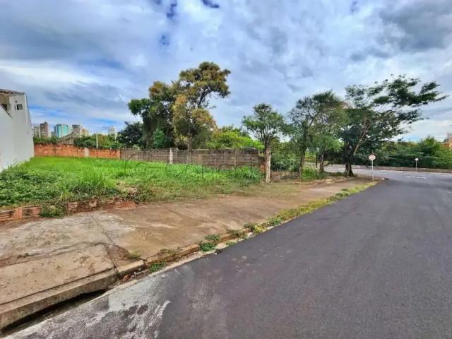 Terreno comercial para Locação em Ribeirão Preto/SP Jardim Califórnia