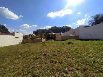 Terreno comercial para Locação em Ribeirão Preto/SP Jardim Califórnia