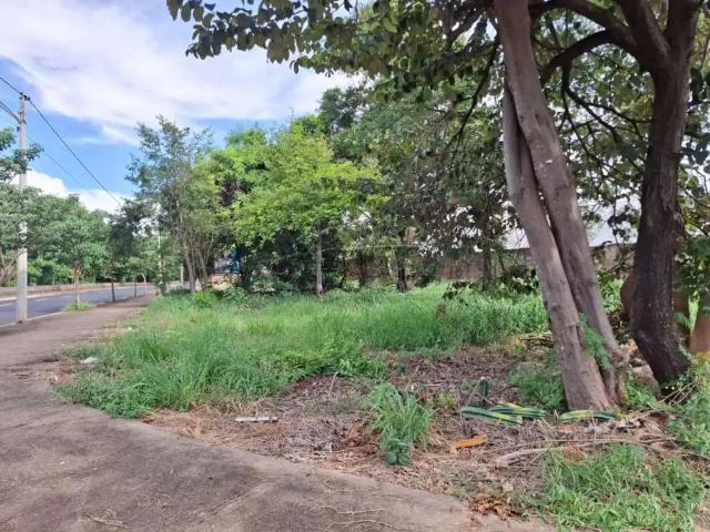Terreno comercial para Locação em Ribeirão Preto/SP Jardim Califórnia
