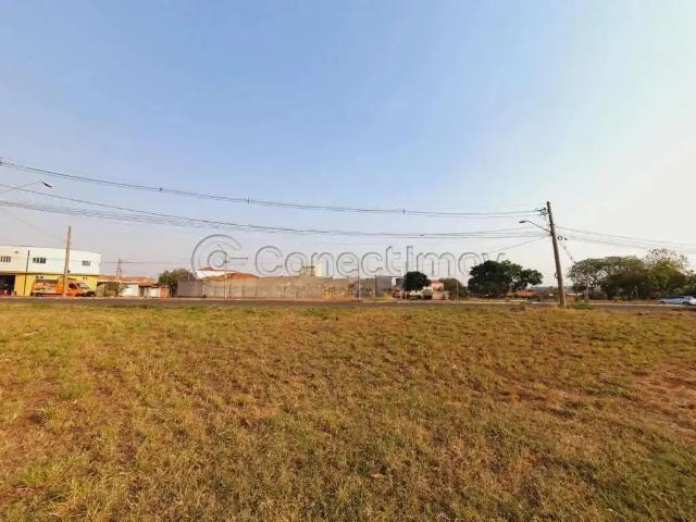 Terreno comercial para Locação em Ribeirão Preto/SP Jardim Doutor Paulo Gomes Romeo