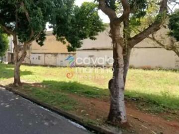 Terreno comercial para Locação em Ribeirão Preto/SP Jardim Irajá