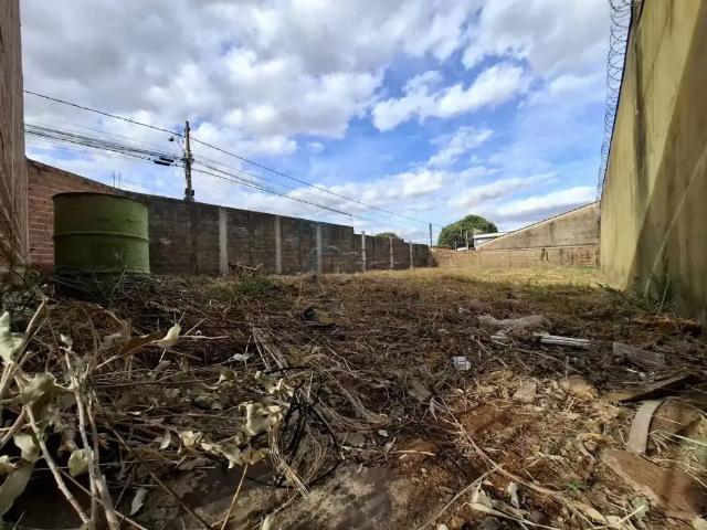Terreno comercial para Locação em Ribeirão Preto/SP Jardim Maria Goretti