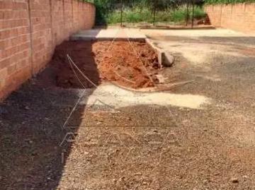 Terreno comercial para Locação em Ribeirão Preto/SP Jardim Palma Travassos