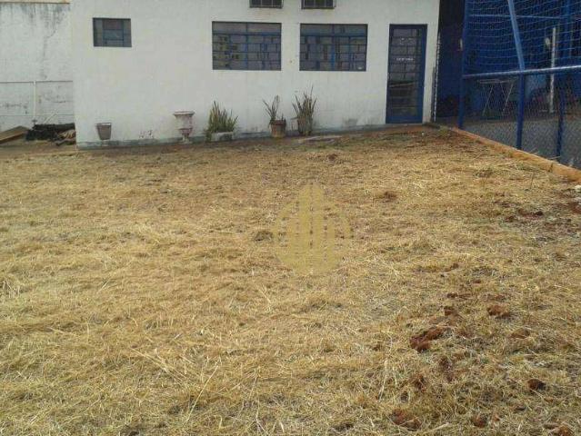 Terreno comercial para Locação em Ribeirão Preto/SP Jardim Palma Travassos