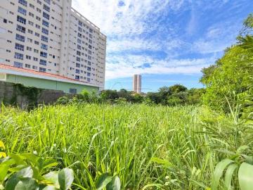Terreno comercial para Locação em Ribeirão Preto/SP Jardim Palma Travassos