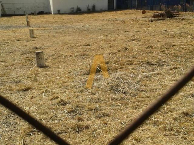 Terreno comercial para Locação em Ribeirão Preto/SP Jardim Palma Travassos