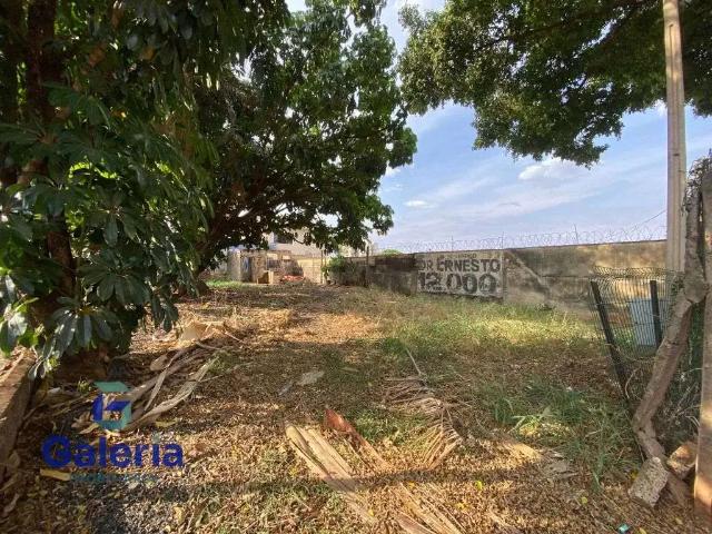 Terreno comercial para Locação em Ribeirão Preto/SP Jardim São Luiz