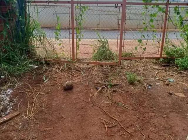 Terreno comercial para Locação em Ribeirão Preto/SP Jardim Salgado Filho