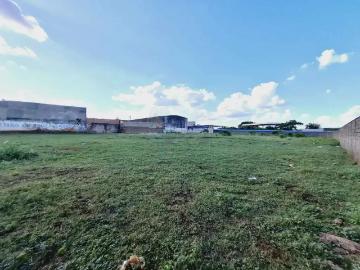 Terreno comercial para Locação em Ribeirão Preto/SP Jardim Salgado Filho