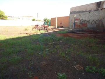 Terreno comercial para Locação em Ribeirão Preto/SP Jardim Salgado Filho