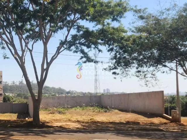 Terreno comercial para Locação em Ribeirão Preto/SP Loteamento Santa Marta