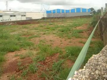 Terreno comercial para Locação em Ribeirão Preto/SP Parque Industrial Lagoinha