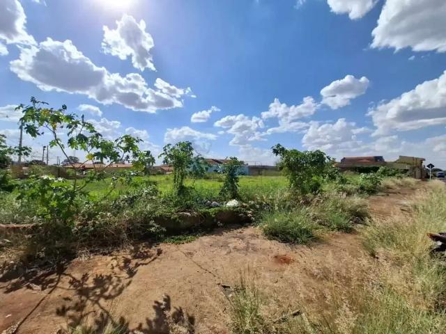 Terreno comercial para Locação em Ribeirão Preto/SP Parque Residencial Cândido Portinari
