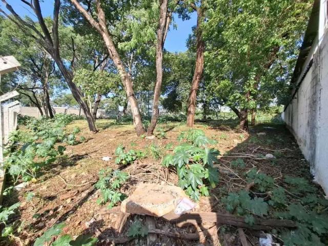 Terreno comercial para Locação em Ribeirão Preto/SP Recreio Anhangüera