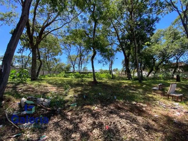 Terreno comercial para Locação em Ribeirão Preto/SP Recreio Anhangüera