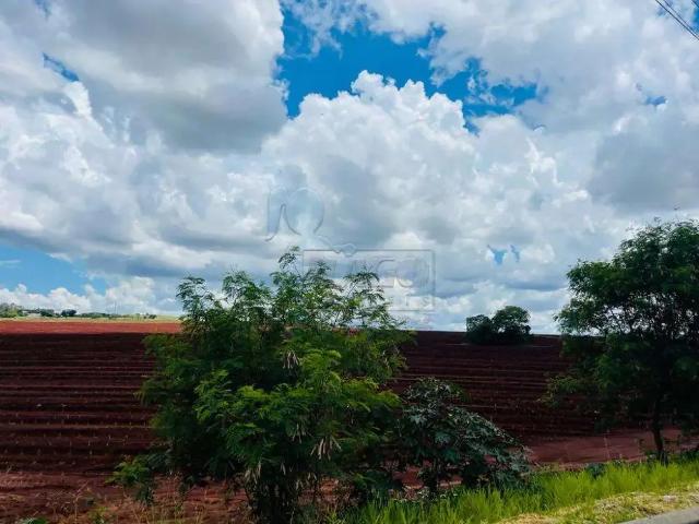 Terreno comercial para Locação em Ribeirão Preto/SP Recreio Anhangüera