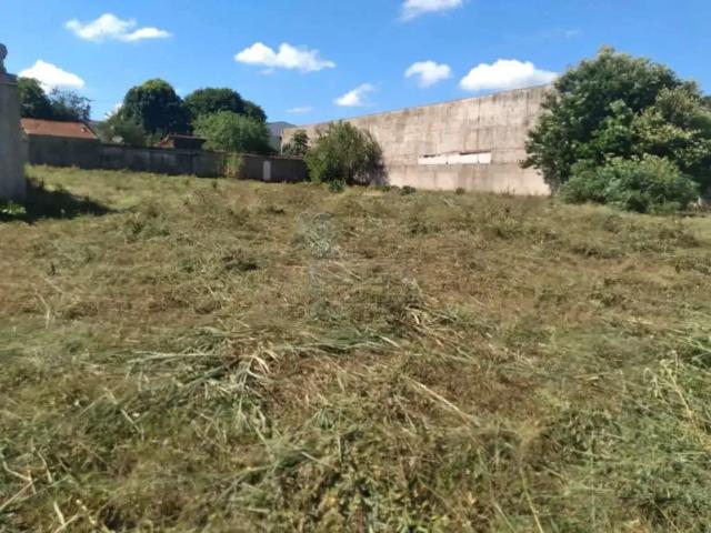 Terreno comercial para Locação em Ribeirão Preto/SP Recreio Anhangüera