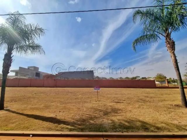 Terreno comercial para Locação em Ribeirão Preto/SP Residencial e Empresarial Alphaville
