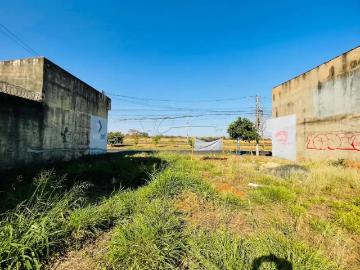 Terreno comercial para Locação em Ribeirão Preto/SP Residencial Parque dos Servidores