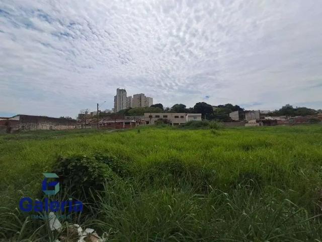 Terreno comercial para Locação em Ribeirão Preto/SP República