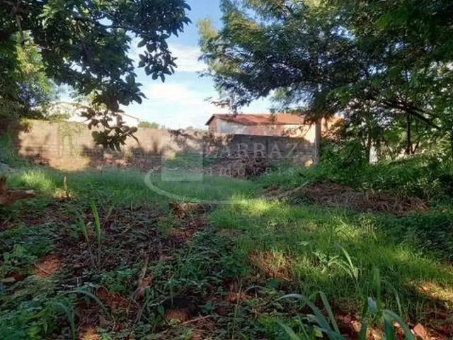 Terreno comercial para Locação em Ribeirão Preto/SP Ribeirânia 3 Quartos