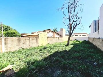 Terreno comercial para Locação em Ribeirão Preto/SP Ribeirânia