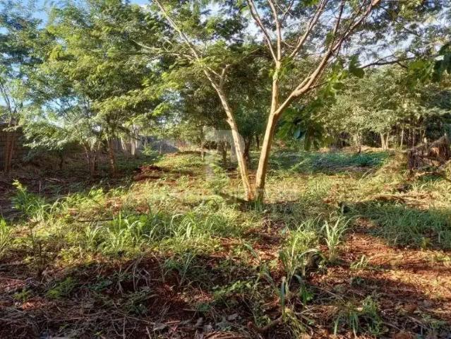 Terreno comercial para Locação em Ribeirão Preto/SP Ribeirânia