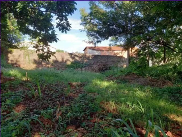Terreno comercial para Locação em Ribeirão Preto/SP Ribeirânia
