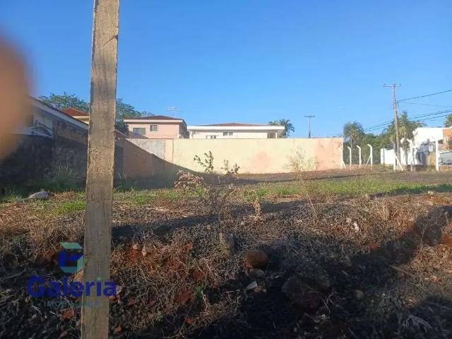 Terreno comercial para Locação em Ribeirão Preto/SP Ribeirânia