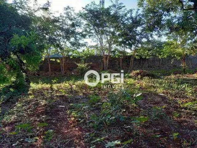 Terreno comercial para Locação em Ribeirão Preto/SP Ribeirânia