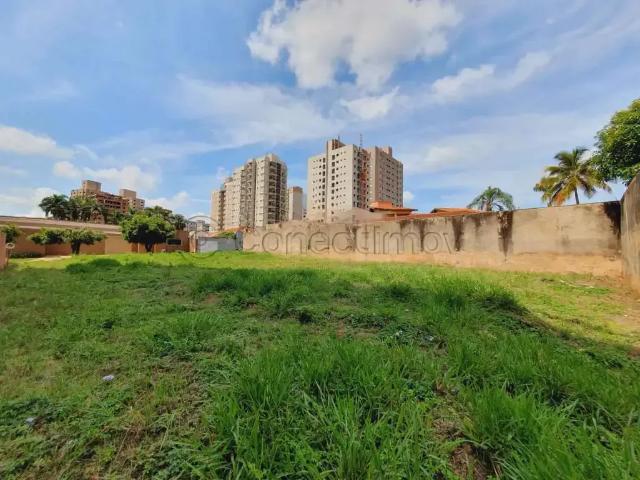 Terreno comercial para Locação em Ribeirão Preto/SP Ribeirânia