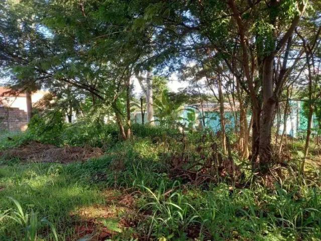 Terreno comercial para Locação em Ribeirão Preto/SP Ribeirânia