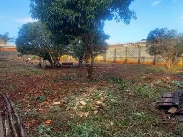 Terreno comercial para Locação em Ribeirão Preto/SP Ribeirânia