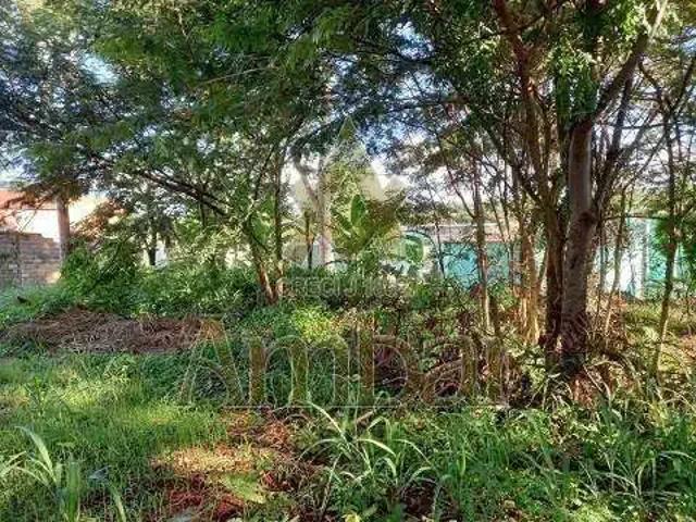 Terreno comercial para Locação em Ribeirão Preto/SP Ribeirânia