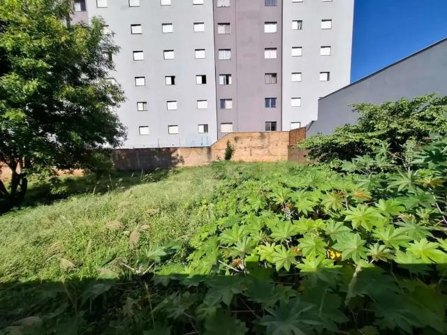 Terreno comercial para Locação em Ribeirão Preto/SP Sumarezinho
