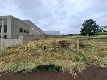 Terreno comercial para Locação em Ribeirão Preto/SP Sítio São Bento 2