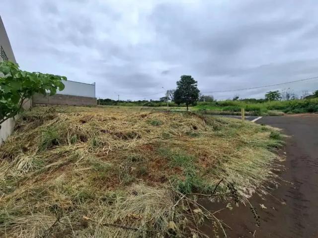 Terreno comercial para Locação em Ribeirão Preto/SP Sítio São Bento 2