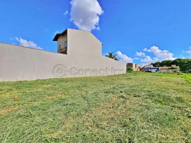 Terreno comercial para Locação em Ribeirão Preto/SP Vila Ana Maria