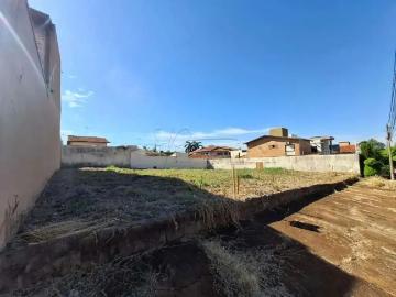 Terreno comercial para Locação em Ribeirão Preto/SP Vila Ana Maria