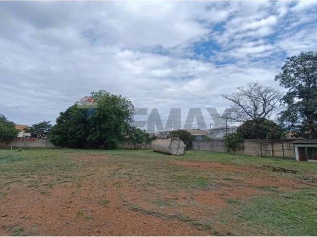 Terreno comercial para Locação em Ribeirão Preto/SP Vila Elisa