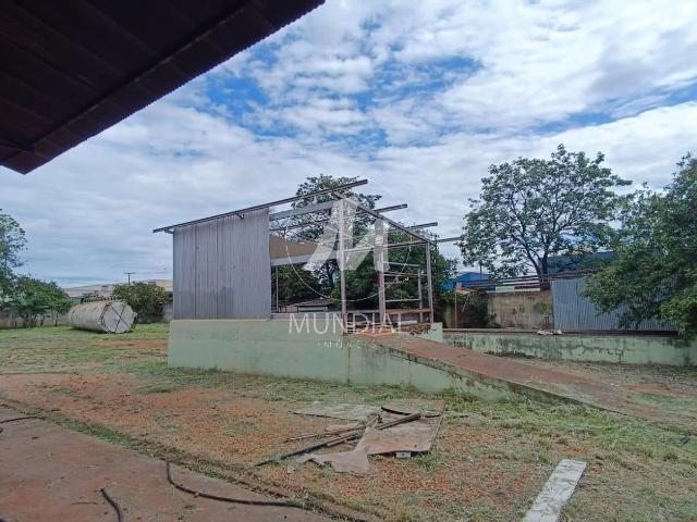 Terreno comercial para Locação em Ribeirão Preto/SP Vila Elisa