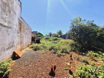 Terreno comercial para Locação em Ribeirão Preto/SP Vila Monte Alegre