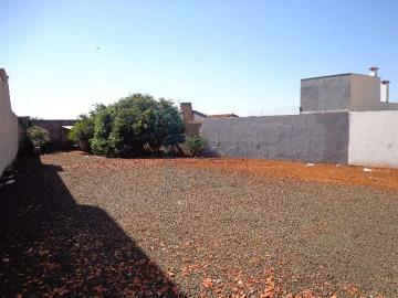 Terreno comercial para Locação em Ribeirão Preto/SP Vila Monte Alegre