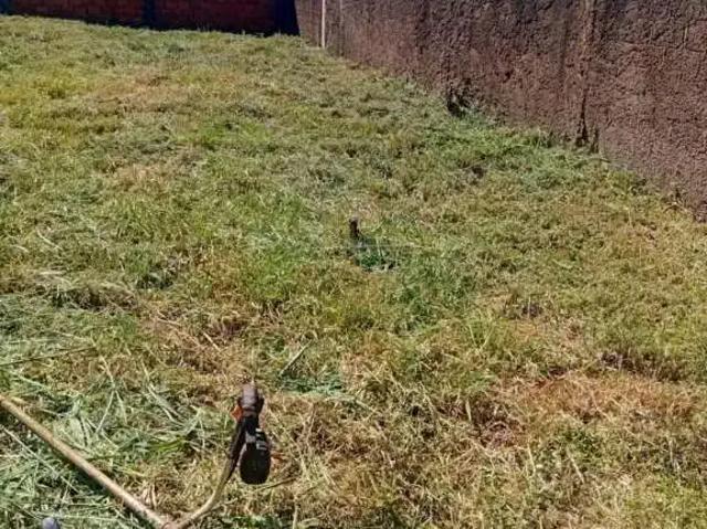 Terreno comercial para Locação em Ribeirão Preto/SP Vila Monte Alegre