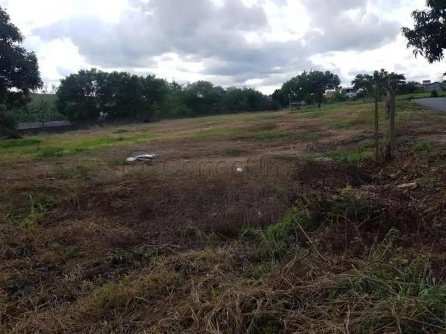 Terreno comercial para Locação em Ribeirão Preto/SP Vila Virgínia